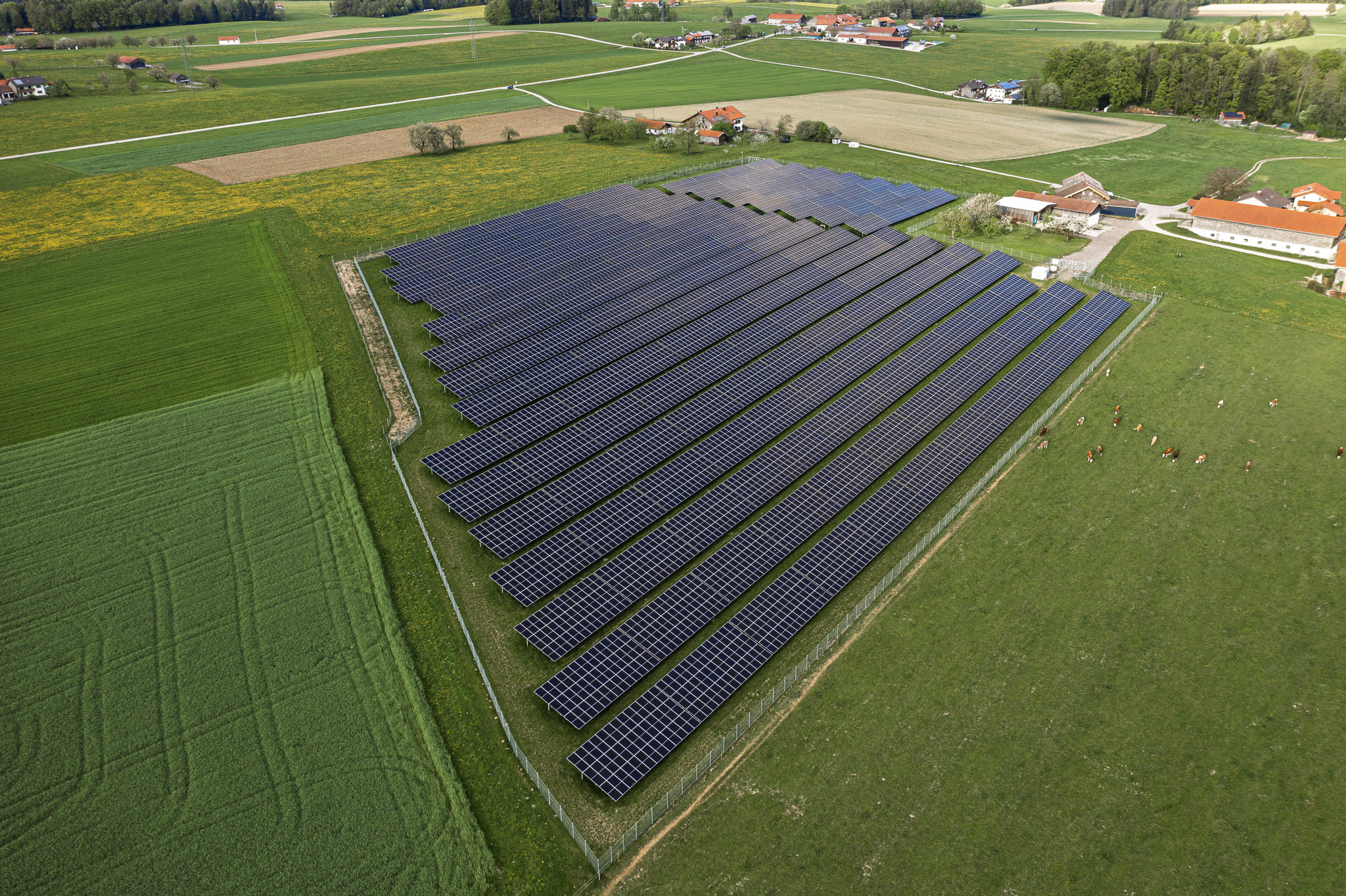 Großflächiger Solarpark auf grünen Feldern mit angrenzenden Bauernhöfen, Luftbild bei Traunstein – Unternehmensfotografie für nachhaltige Energieprojekte in Bayern